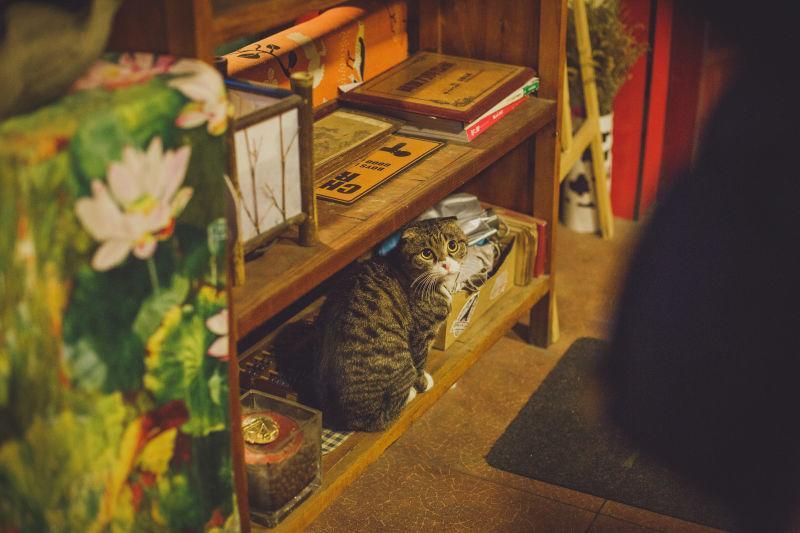 Xi'An Qindiao Youth Hostel Сиан Екстериор снимка